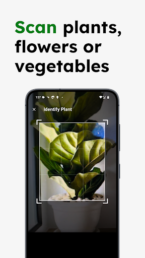 Plant Identifier - Plantr ekran görüntüsü