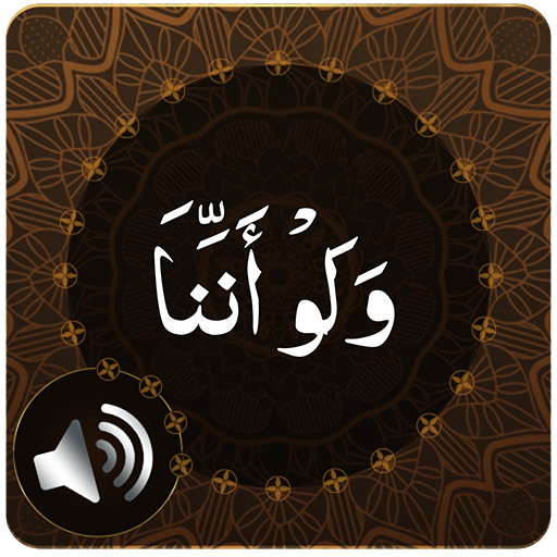 Para 8 Audio