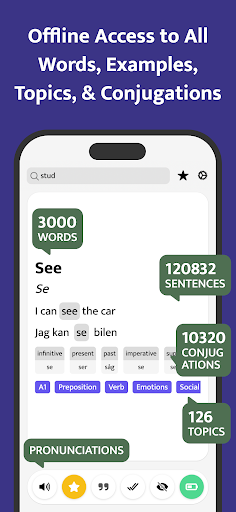 Most Common Swedish Words ekran görüntüsü