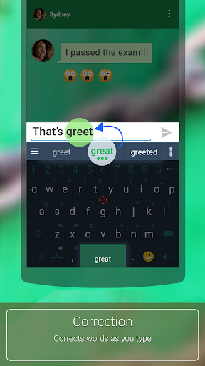 ai.type English Dictionary ekran görüntüsü