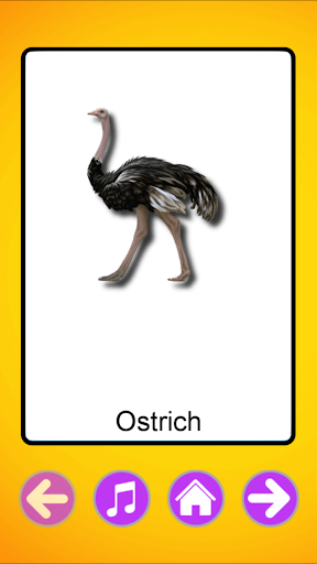 Flashcard Educational Games ekran görüntüsü