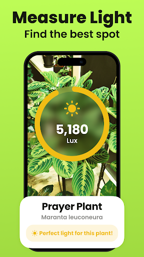 Plant Identifier & Care: Ficus ekran görüntüsü