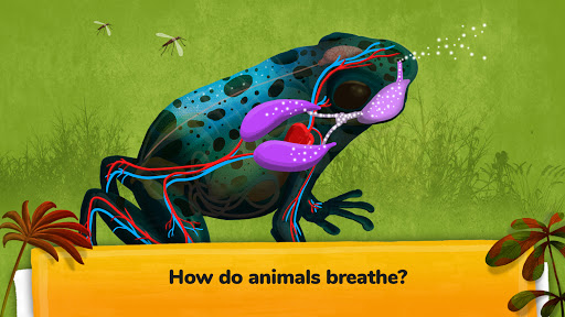 The Animals: Animal Kids Games ekran görüntüsü