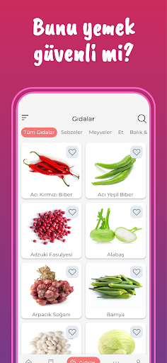 Hamilelikte Gebelikte Beslenme ekran görüntüsü