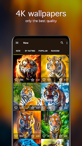 Tiger Wallpapers 4K ekran görüntüsü