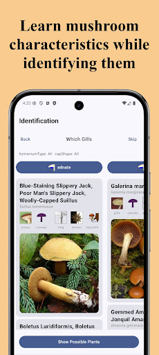 Forest Mushroom Identification ekran görüntüsü