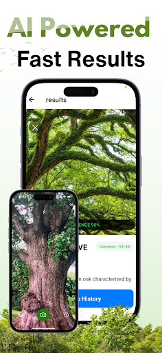 Tree Identifier - AI Scanner ekran görüntüsü