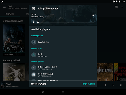 FireTV cast plugin for Yatse ekran görüntüsü