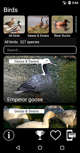Birds of North America: Decoys ekran görüntüsü