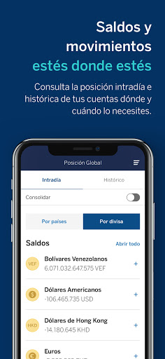 BBVA Pivot ekran görüntüsü