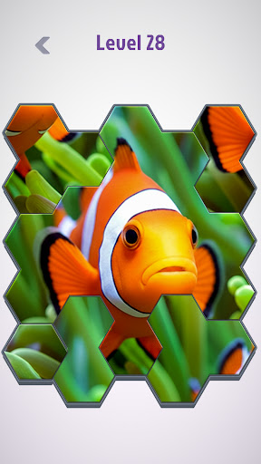 Hexa Swap: Jigsaw Puzzle HD ekran görüntüsü