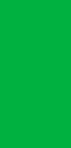 Green Screen Canvas ekran görüntüsü