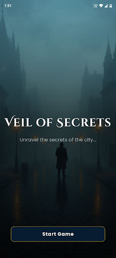 Veil of Secrets: Mystery Game ekran görüntüsü