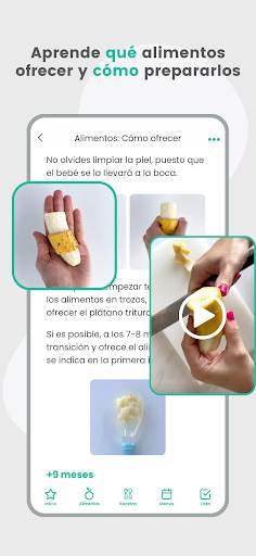 BLW Ideas - Recetas Bebés ekran görüntüsü