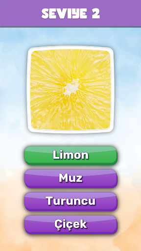 Bu Nedir? Trivia Quiz ekran görüntüsü
