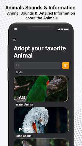 Animal Ringtones & Sounds ekran görüntüsü