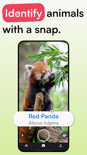 Animal Identifier - iSpecies ekran görüntüsü