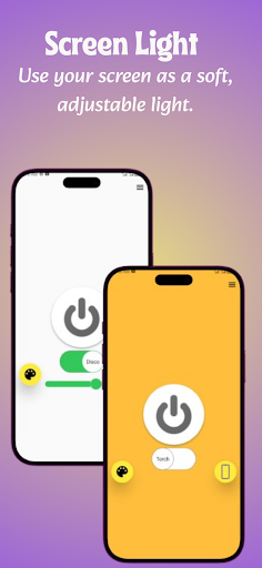 LED Flashlight-Torch Light app ekran görüntüsü