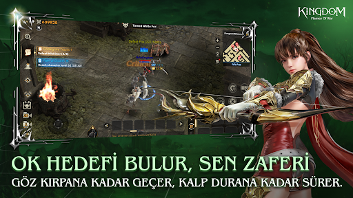 Kingdom: Flames Of War ekran görüntüsü