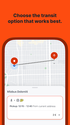 Trillo DolomitiBus ekran görüntüsü
