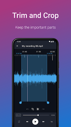 Easy Voice Recorder Pro ekran görüntüsü