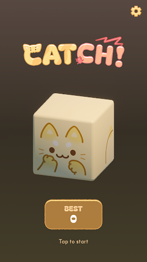 Catch Dice! ekran görüntüsü
