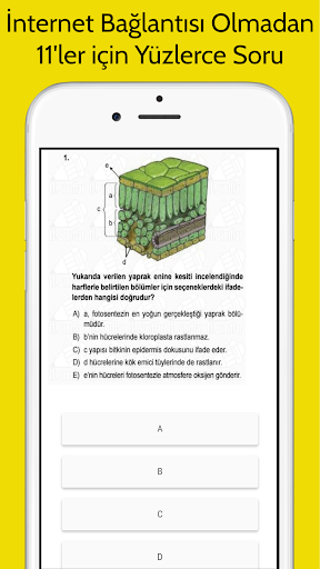 11. Sınıf Tüm Ders İnternetsiz ekran görüntüsü