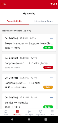 Japan Airlines ekran görüntüsü
