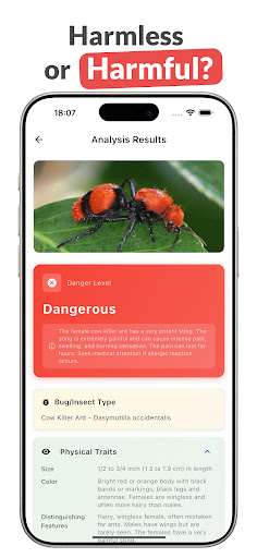 LadyBug Insect: Bug Identifier ekran görüntüsü
