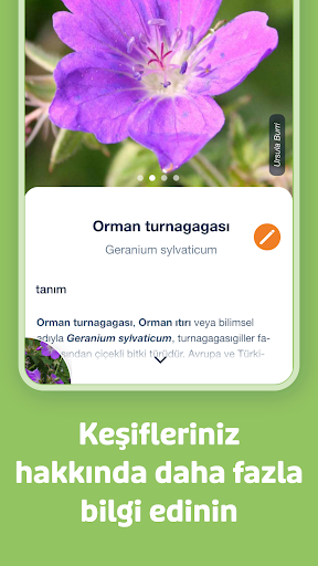 Flora Incognita ekran görüntüsü