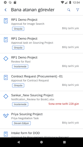 SAP Ariba Procurement ekran görüntüsü