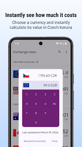 Czech Koruna Exchange Rates V2 ekran görüntüsü
