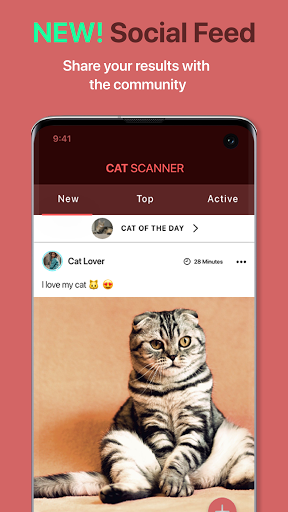 Cat Scanner: Breed Recognition ekran görüntüsü