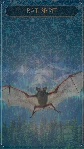 Shamanic Oracle Cards ekran görüntüsü