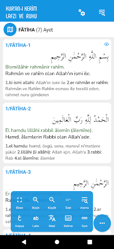 Kur'an-ı Kerim Lafzı ve Ruhu ekran görüntüsü