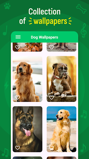 Köpek Zil sesi Duvar kağıtları ekran görüntüsü