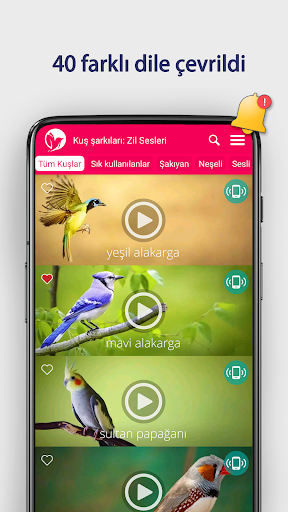 Kuş şarkıları: Zil Sesleri ekran görüntüsü