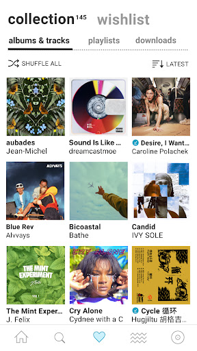 Bandcamp ekran görüntüsü