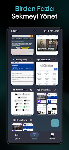 Aloha özel Tarayıcı - VPN ekran görüntüsü
