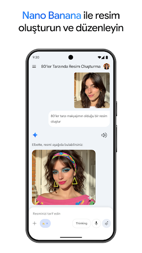 Google Gemini ekran görüntüsü