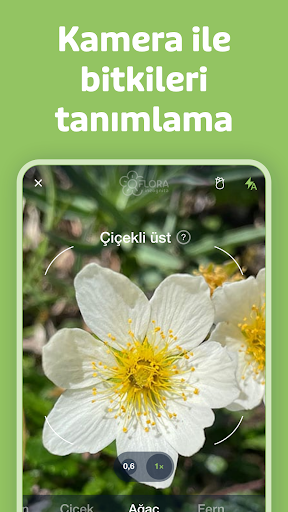 Flora Incognita ekran görüntüsü