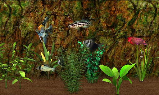Fish Farm ekran görüntüsü
