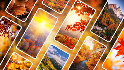 Autumn Wallpapers 4K ekran görüntüsü
