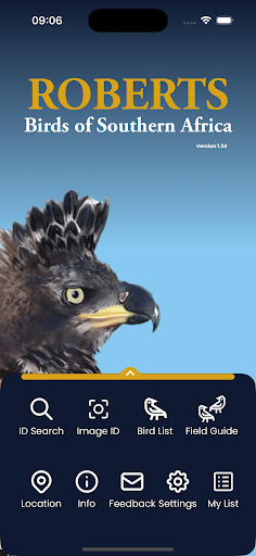Roberts Birds ekran görüntüsü