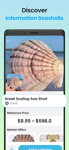 Seashell Identifier App ekran görüntüsü