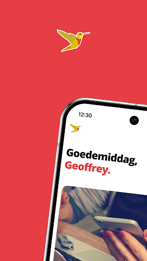 Zilverlinde ekran görüntüsü