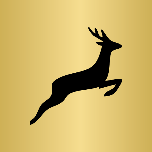 Leap Academy
