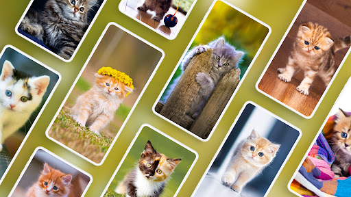 Cat Wallpapers & Cute Kittens ekran görüntüsü