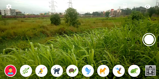 Animal Vision : OpenCV Filters ekran görüntüsü