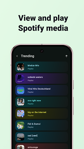 Widgetify for Spotify ekran görüntüsü